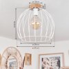 Pajalta Plafondlamp Natuurlijke kleuren, 1-licht