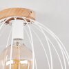 Pajalta Plafondlamp Natuurlijke kleuren, 1-licht