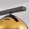 Koyoto Hanglamp Glas 15 cm Goud, Duidelijk, 3-lichts