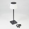 Longchamps Tafellamp voor buiten LED Zwart, 1-licht