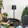 Allen Tafellamp voor buiten LED Zwart, 1-licht