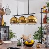 Koyoto Hanglamp Glas 20 cm Goud, Duidelijk, 3-lichts