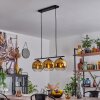 Koyoto Hanglamp Glas 20 cm Goud, Duidelijk, 3-lichts