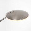 Steinhauer Daphne Uplighter LED Staal geborsteld, 2-lichts