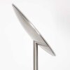 Steinhauer Daphne Uplighter LED Staal geborsteld, 2-lichts