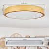 Broglen Plafondpaneel LED Messing, 1-licht