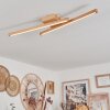 Cajas Plafondlamp LED Natuurlijke kleuren, 2-lichts
