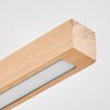 Cajas Plafondlamp LED Natuurlijke kleuren, 2-lichts
