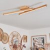 Cajas Plafondlamp LED Natuurlijke kleuren, 2-lichts