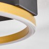 Cajean Plafondlamp LED Zwart, 2-lichts