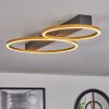 Cajean Plafondlamp LED Zwart, 2-lichts