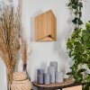 Agnoron Muurlamp LED Natuurlijke kleuren, 1-licht