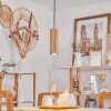 Ripamonti Hanger LED Natuurlijke kleuren, Zwart, 1-licht