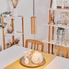 Ripamonti Hanger LED Natuurlijke kleuren, Zwart, 1-licht