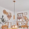 Ripamonti Hanger LED Natuurlijke kleuren, Zwart, 1-licht