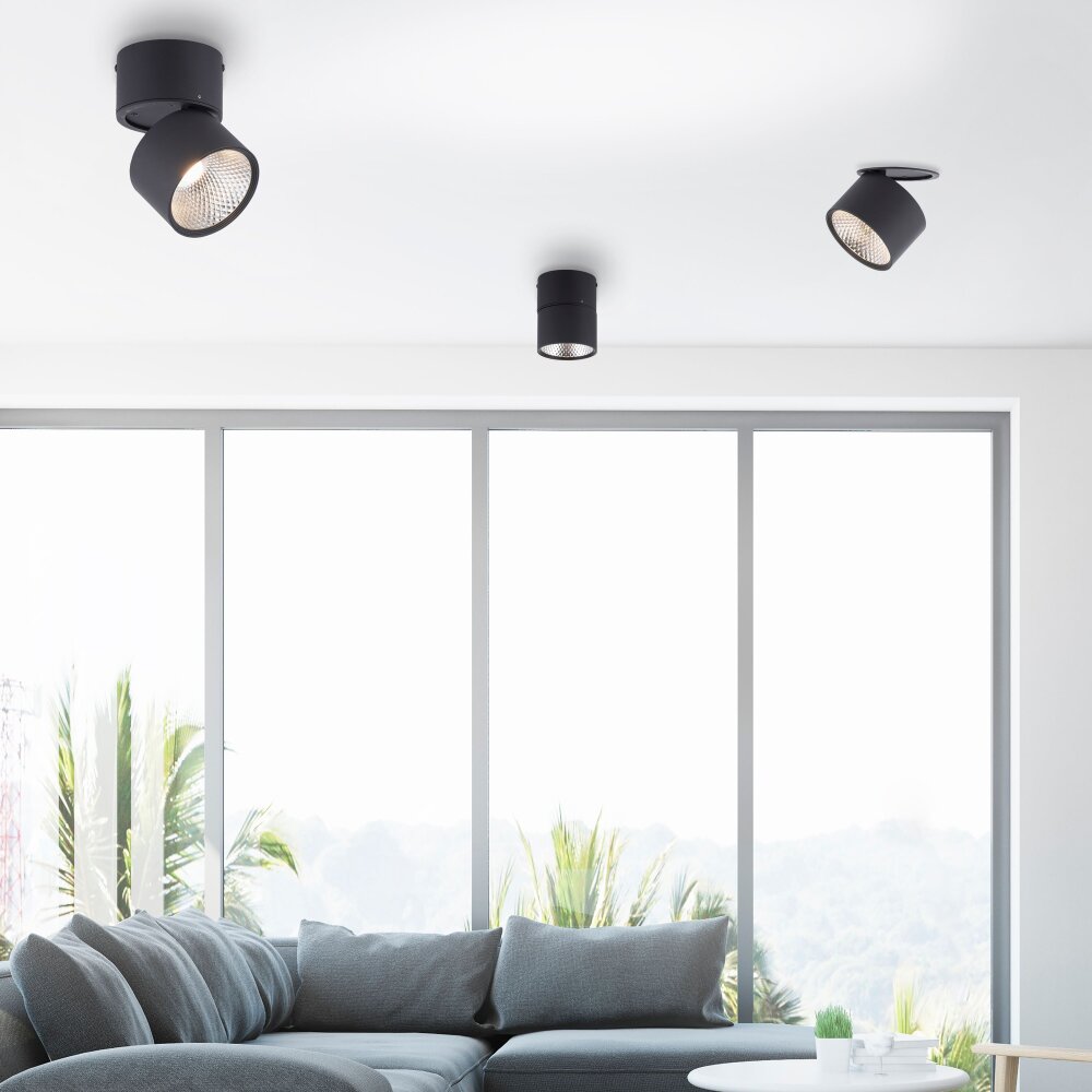 Paul Neuhaus PURE-NOLA Muurlamp LED Zwart, 1-licht main product photo