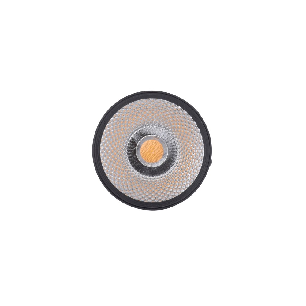 Paul Neuhaus PURE-NOLA Muurlamp LED Zwart, 1-licht