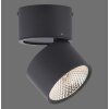 Paul Neuhaus PURE-NOLA Muurlamp LED Zwart, 1-licht