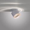 Paul Neuhaus PURE-NOLA Muurlamp LED Wit, 1-licht