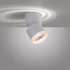 Paul Neuhaus PURE-NOLA Muurlamp LED Wit, 1-licht