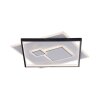 Paul Neuhaus MAILAK Plafondlamp LED Zwart, Wit, 2-lichts