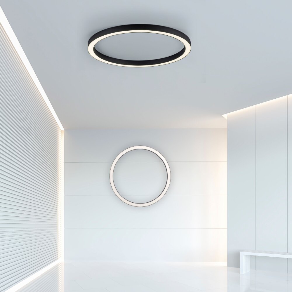 Paul Neuhaus PURE-LINES Plafondlamp LED Antraciet, 1-licht, Afstandsbediening main product photo