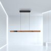 Paul Neuhaus PURE-MOTO-RISE Hanglamp LED houtlook, Zwart, 3-lichts, Afstandsbediening