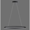 Paul Neuhaus TITUS Hanglamp LED Antraciet, 1-licht