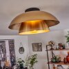 Albo Plafondlamp Zwart, 1-licht