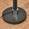 Coquimbito Staande lamp LED Zwart, 2-lichts