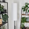 Coquimbito Staande lamp LED Zwart, 2-lichts