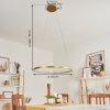 Calcium Hanglamp LED Messing, 1-licht