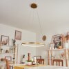 Calcium Hanglamp LED Messing, 1-licht