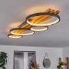 Rodekro Plafondlamp LED Zwart, 1-licht