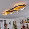 Rodekro Plafondlamp LED Zwart, 1-licht
