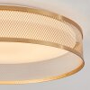 Quintinha Plafondlamp LED Wit, 1-licht