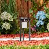 Lokpano Padverlichting LED Zwart, 1-licht, Bewegingsmelder