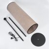 Pomancillo Staande lamp Zwart, 1-licht