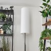 Coquimbito Staande lamp LED Nikkel mat, 2-lichts