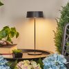 Kouvi Tafellamp voor buiten LED Zwart, 1-licht