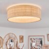 Wynona Plafondlamp LED Wit, 1-licht