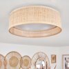 Wynona Plafondlamp LED Wit, 1-licht