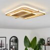Evolene Plafondlamp LED Goud, 1-licht