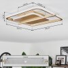 Evolene Plafondlamp LED Goud, 1-licht