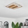 Evolene Plafondlamp LED Goud, 1-licht