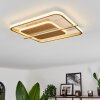 Evolene Plafondlamp LED Goud, 1-licht