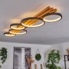 Rodekro Plafondlamp LED Zwart, Wit, 1-licht