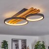 Rodekro Plafondlamp LED Natuurlijke kleuren, Zwart, 1-licht