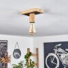 Represita Plafondlamp Natuurlijke kleuren, Zwart, 1-licht