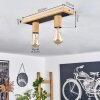 Represita Plafondlamp Bruin, Zwart, 2-lichts